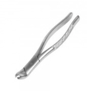 Extraction Forcep